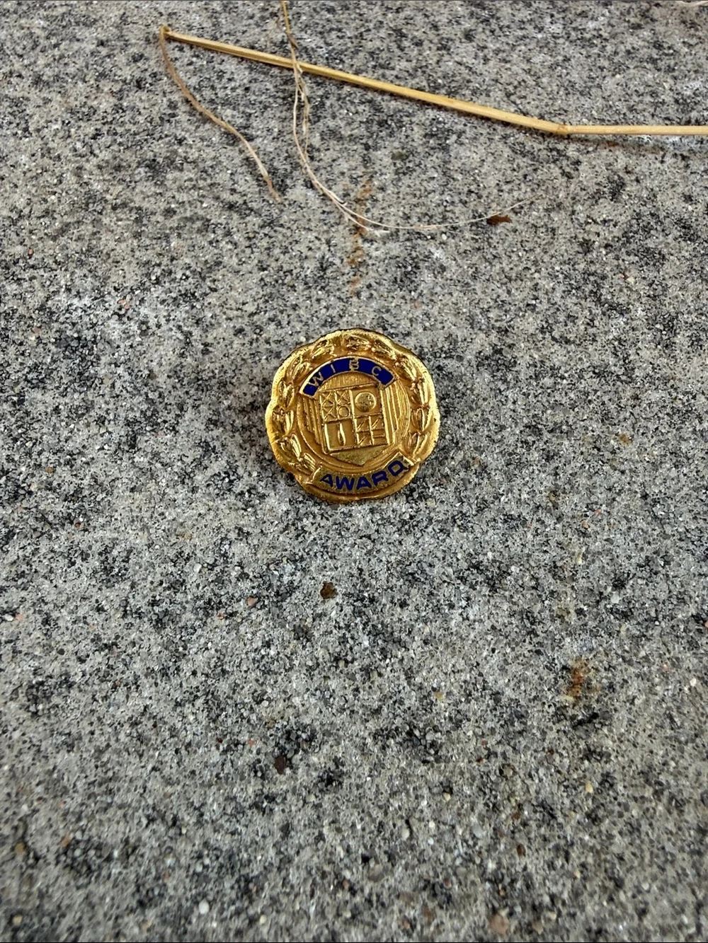 WIBC Gold Award Pin Brooch - Jewelry